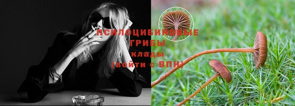 хмурый Алексеевка