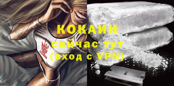 сатива Абаза