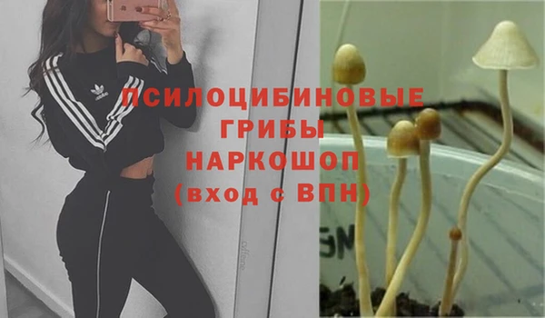 ешки Алзамай