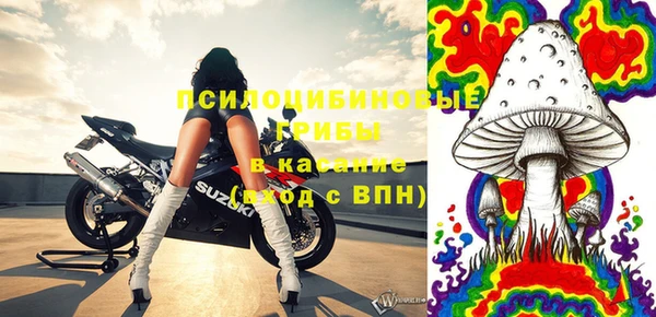 хмурый Алексеевка
