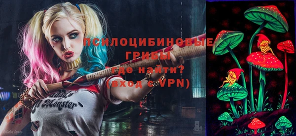 хмурый Алексеевка